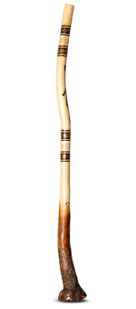 Kristian Benton Didgeridoo (KB323)